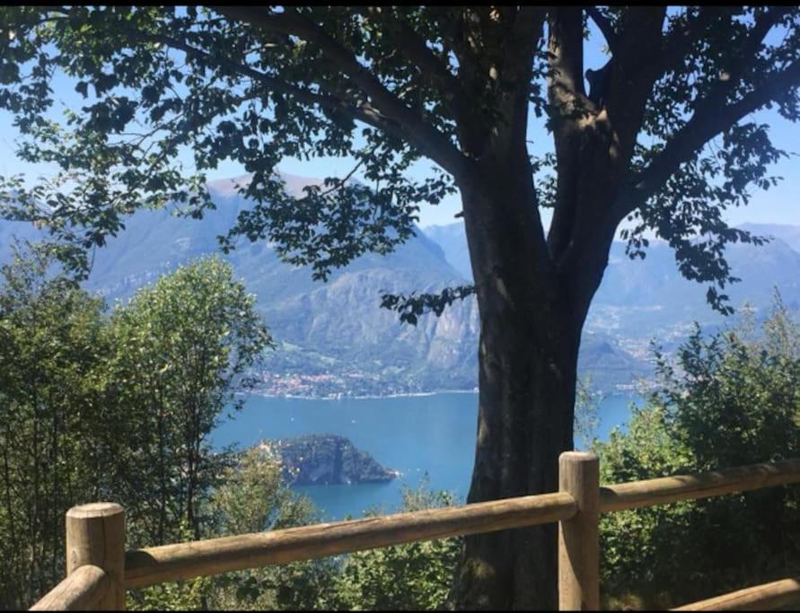 Mansarda Fra Monte E Apartment *